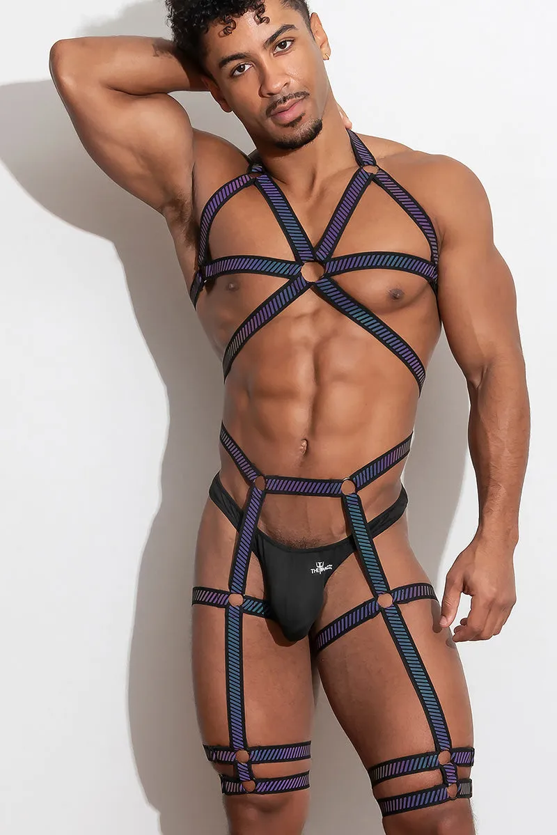 Argus Full Body Harness (FlashTECH /Black) - Image 3