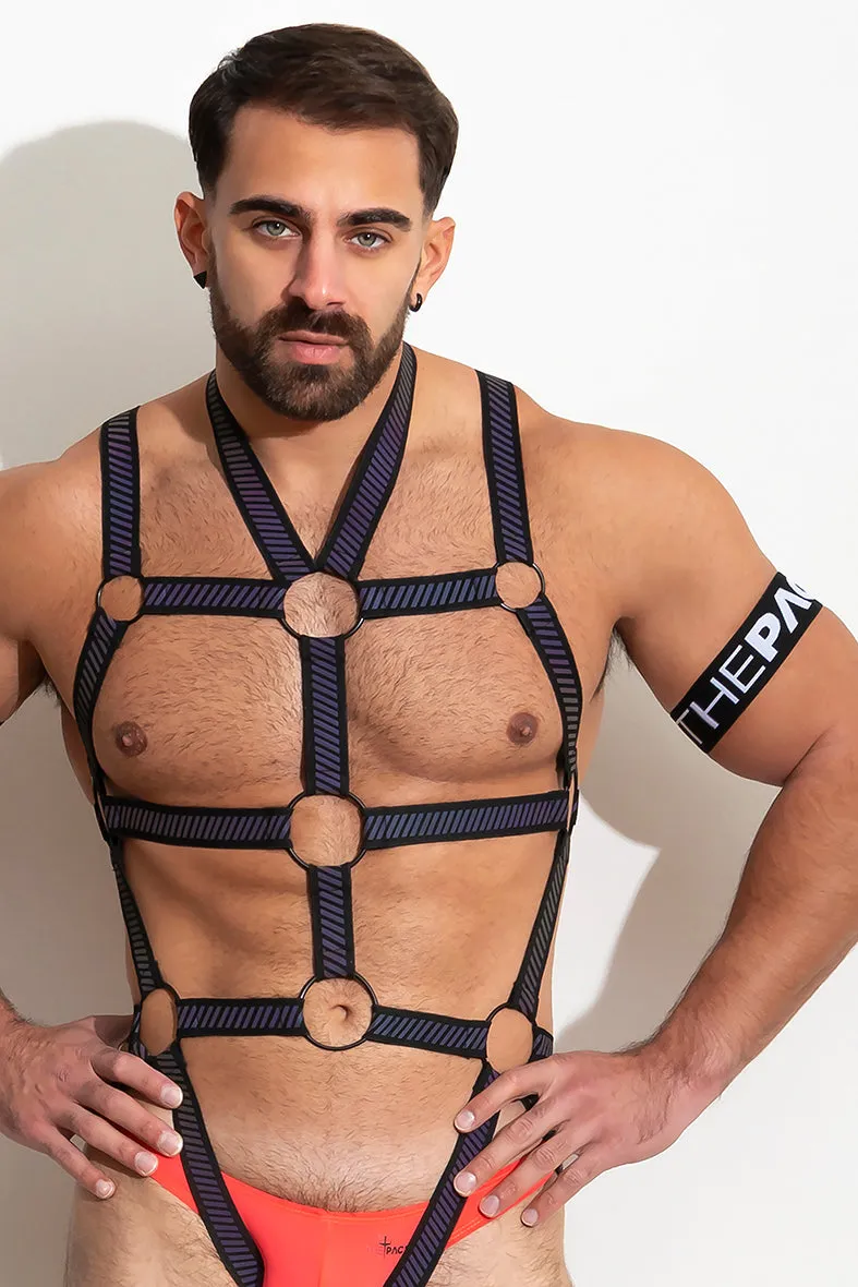 FlashTECH Body Harness /Black - Image 5