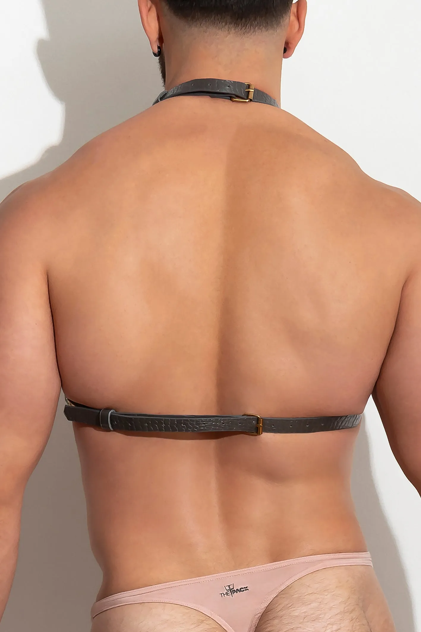PLEASURE Chest Harness vᴸᵀᴴᴿ /Taupe - Image 3