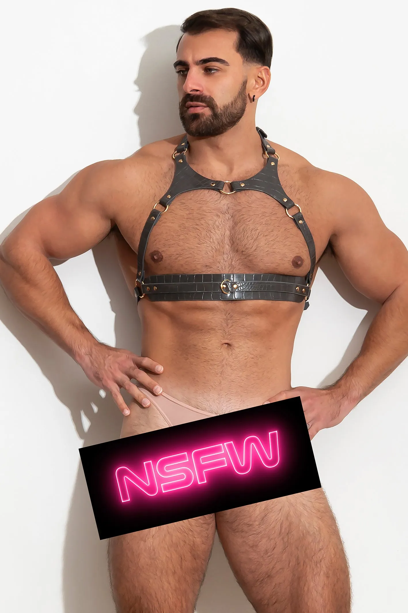 PLEASURE Chest Harness vᴸᵀᴴᴿ /Taupe - Image 4