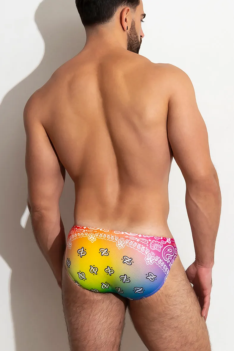PRIDE Brief - Image 2